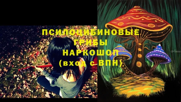 трава Алексин