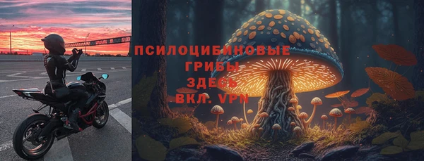 трава Алексин